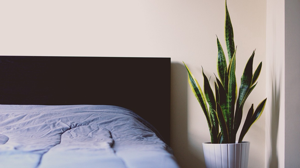 Do You Really Need a Mattress Protector?