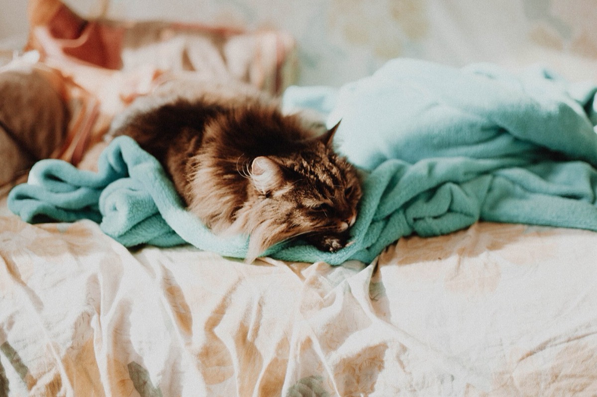 What Pillow Height Suits the Way You Sleep?