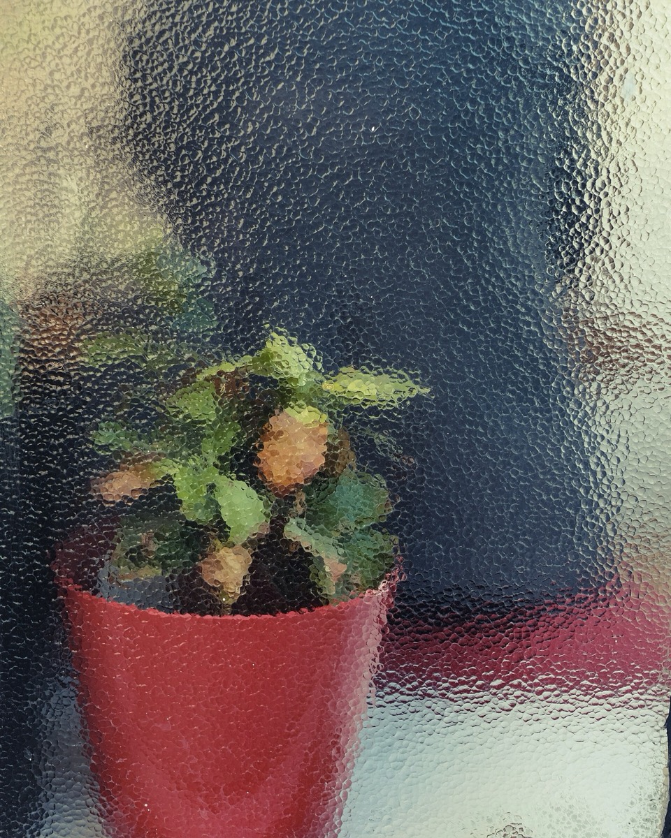 Why Does Your Bedroom Feel Damp in the Morning?