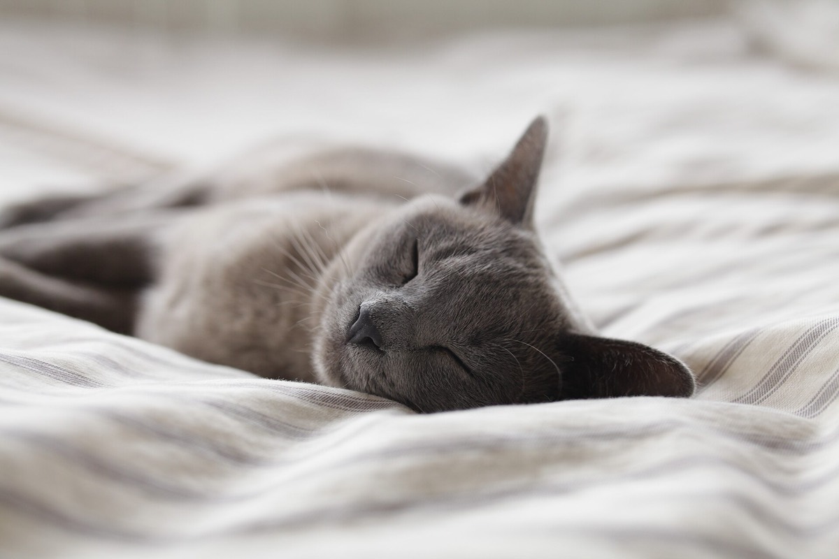 How Do You Keep a Bedroom Warm in Winter?