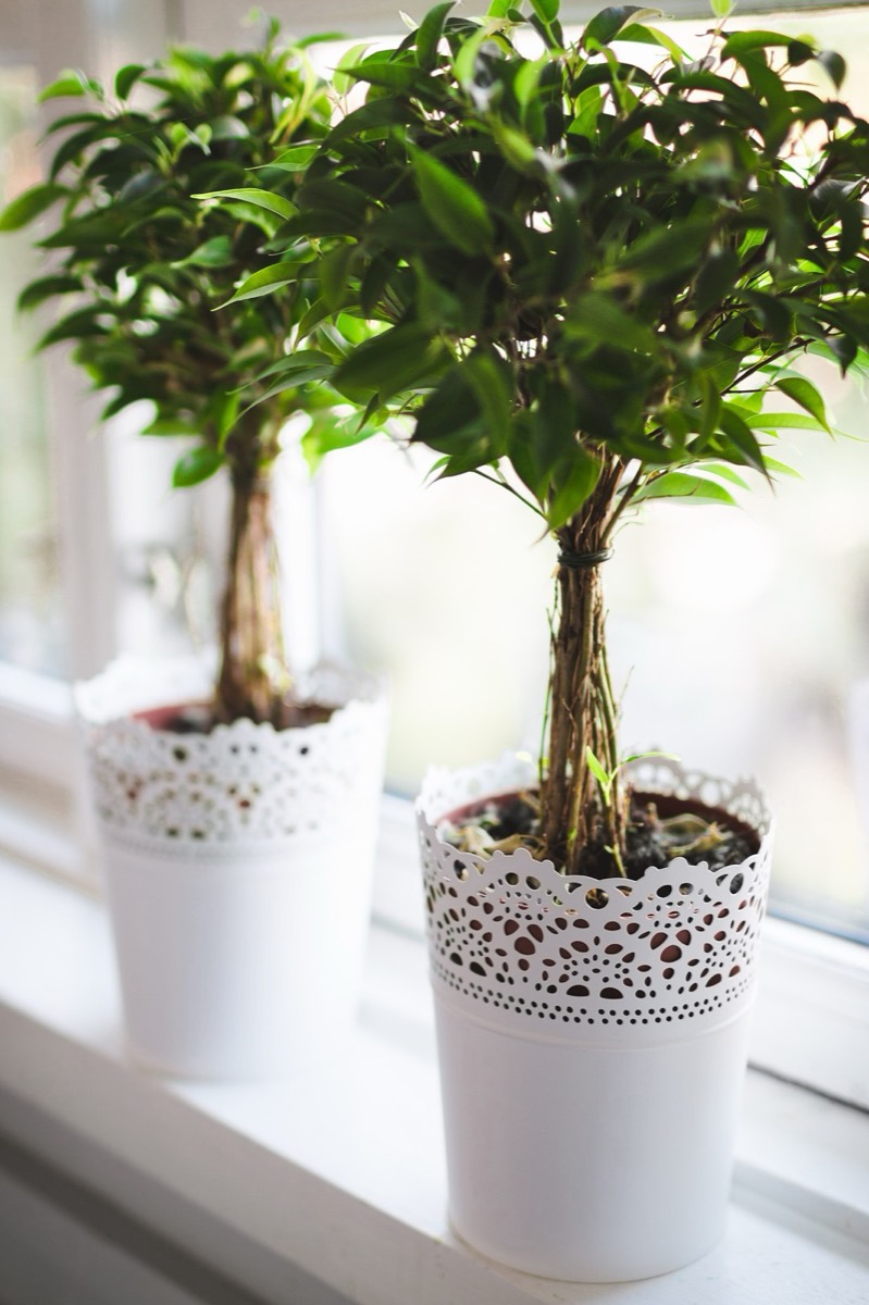 How Do You Keep a Bedroom Cool in Summer?